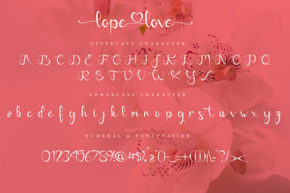 Lope Love Font Poster 7