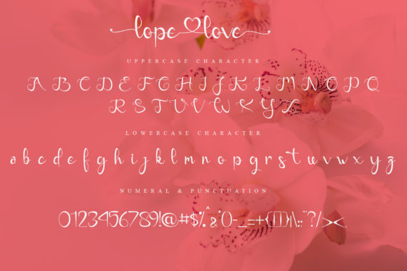 Lope Love Font Poster 7