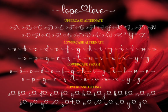 Lope Love Font Poster 8