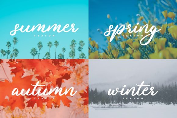 Losemine Font Poster 9