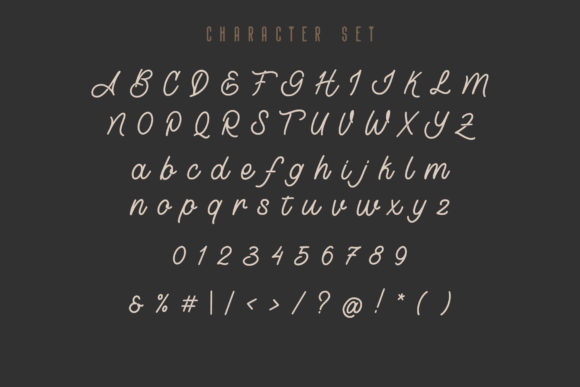 Lostown Font Poster 3