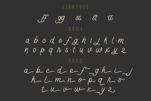 Lostown Font Poster 4