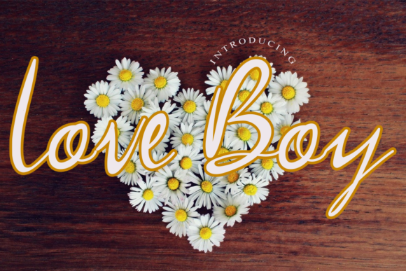 Love Boy Font Poster 1