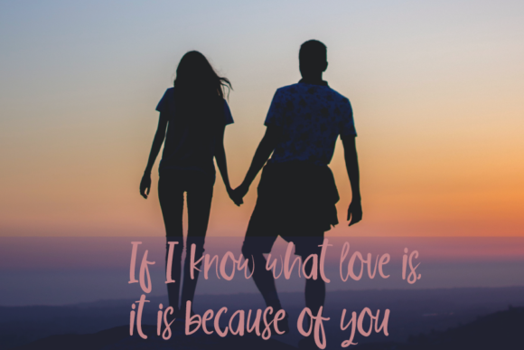 Love Diary Font Poster 2