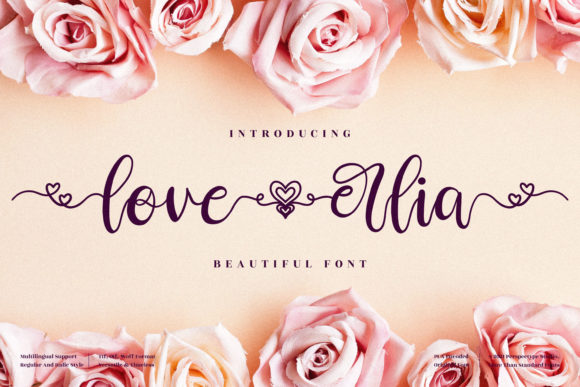 Love Erlia Font Poster 1