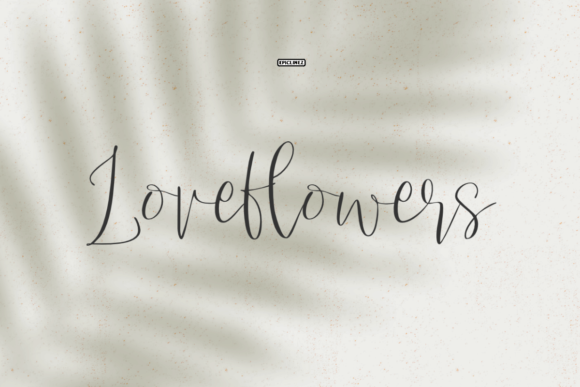 Love Flowers Font Poster 1