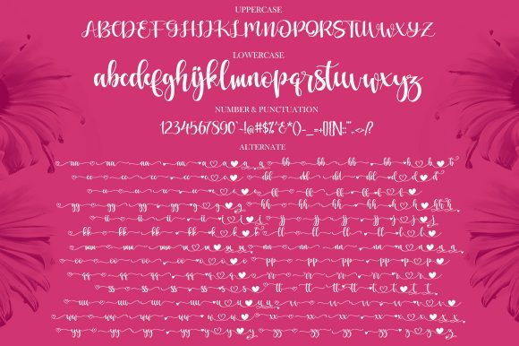 Love Moment Font Poster 11