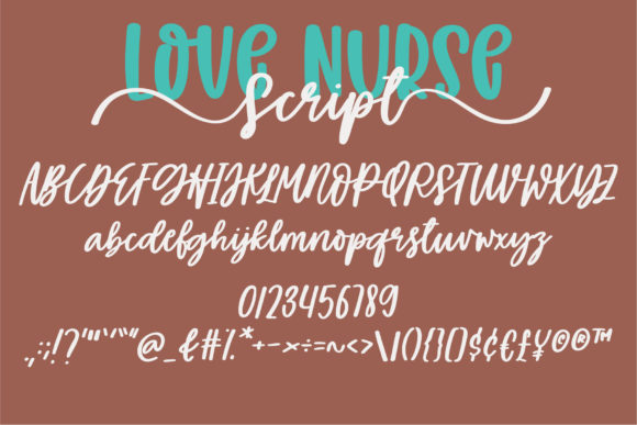 Love Nurse Font Poster 4