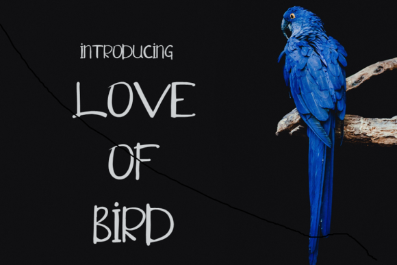 Love of Bird Font Poster 1