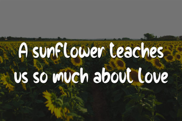 Love Sunflowers Font Poster 2