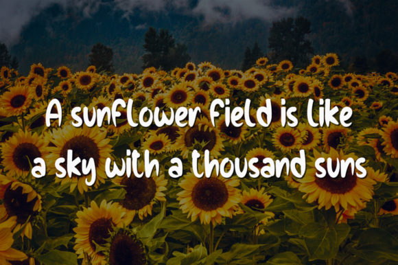 Love Sunflowers Font Poster 3