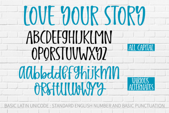 Love Your Story Font Poster 3