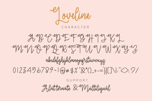 Loveline Font Poster 6