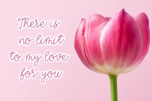 Lovely Home Font Poster 2