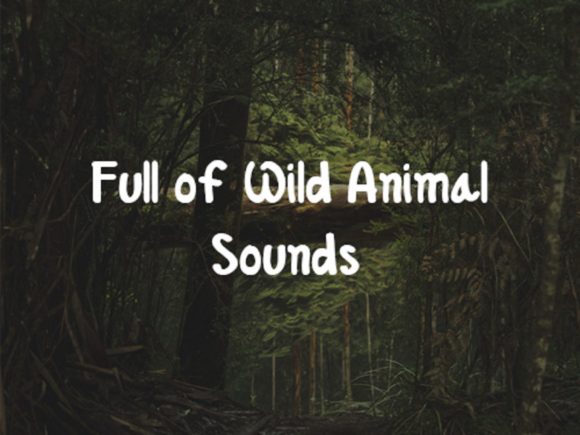Lush Forest Font Poster 3