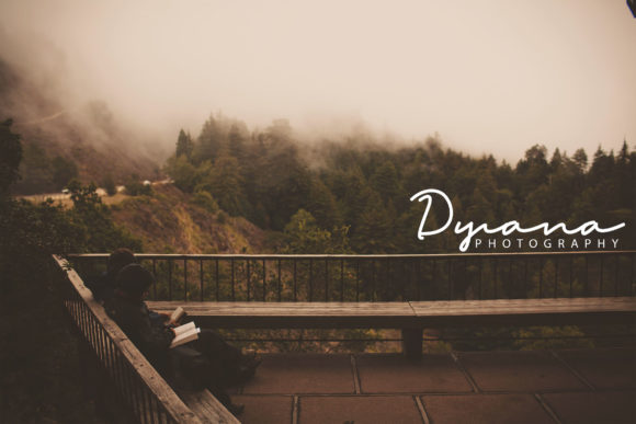 Lynda Font Poster 7