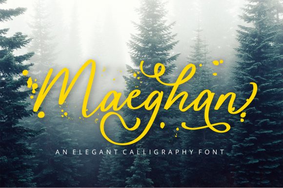 Maeghan Font Poster 1
