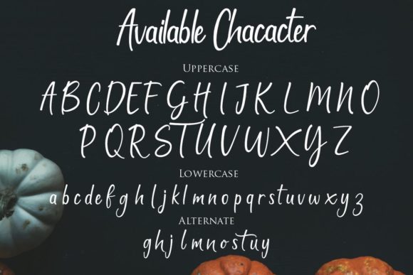 Magella Font Poster 8