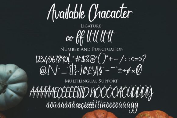 Magella Font Poster 9