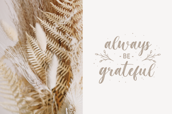Magista Brush Font Poster 4
