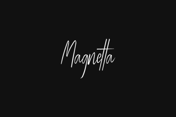 Magnetta Font Poster 1