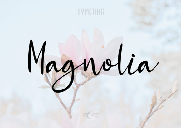 Magnolia Font Poster 1