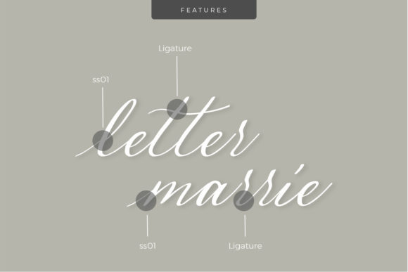 Malena Font Poster 4