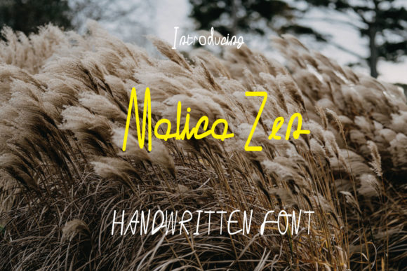 Malica Zen Font Poster 1