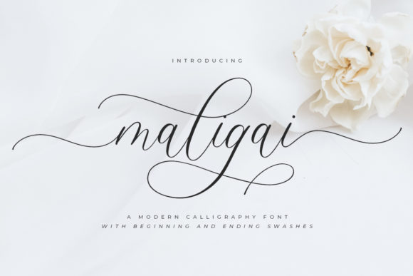 Maligai Font Poster 1