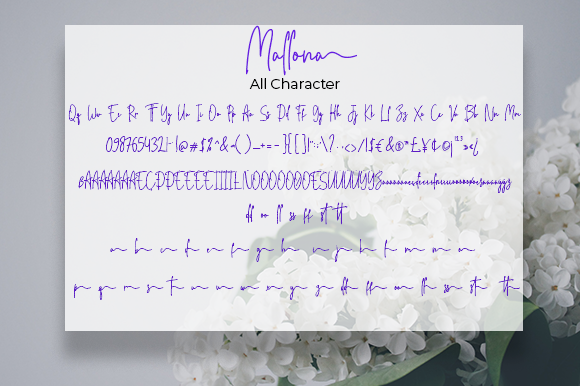 Mallona Font Poster 7