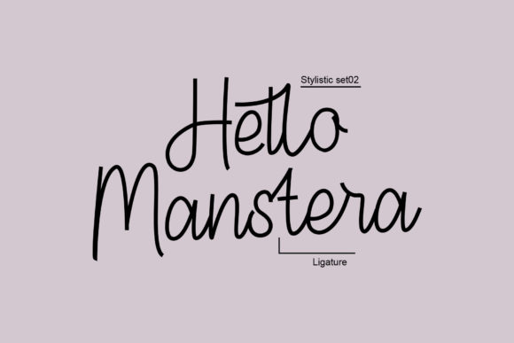 Manstera Font Poster 5