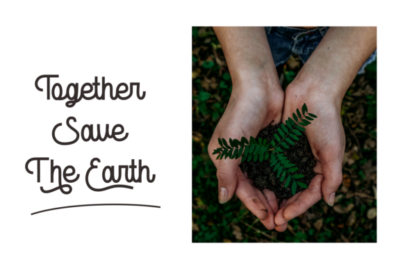 Marylane Font Poster 8