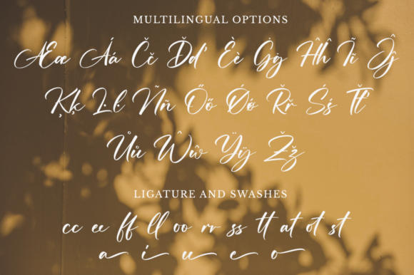 Massillo Font Poster 11