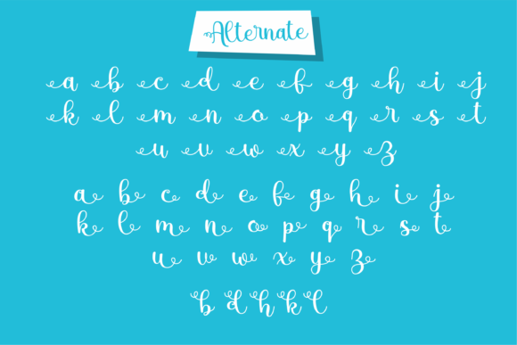 Mbak Endang Font Poster 6