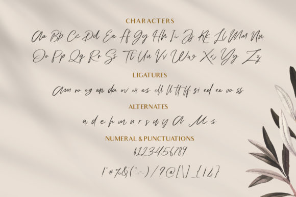 Me Amanda Font Poster 12