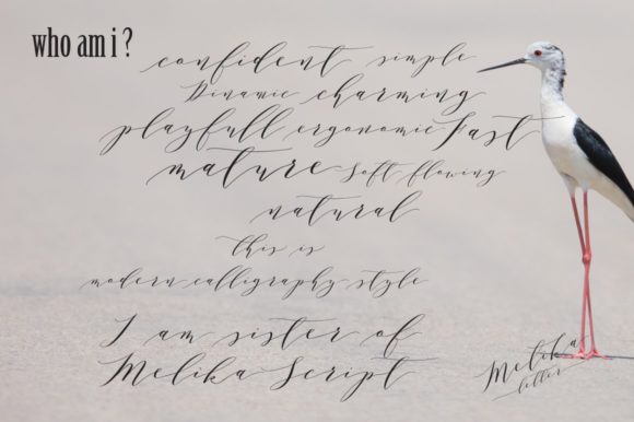 Melika Letter Font Poster 2