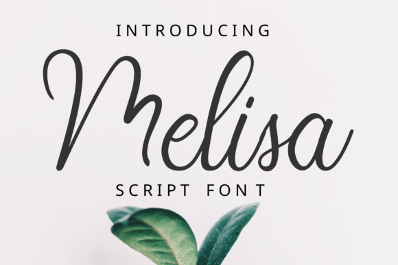 Melisa Font Poster 1