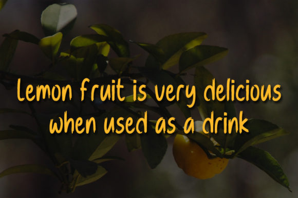 Melon Lemon Font Poster 3