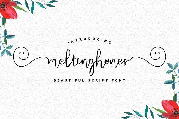 Meltinghones Font Poster 1