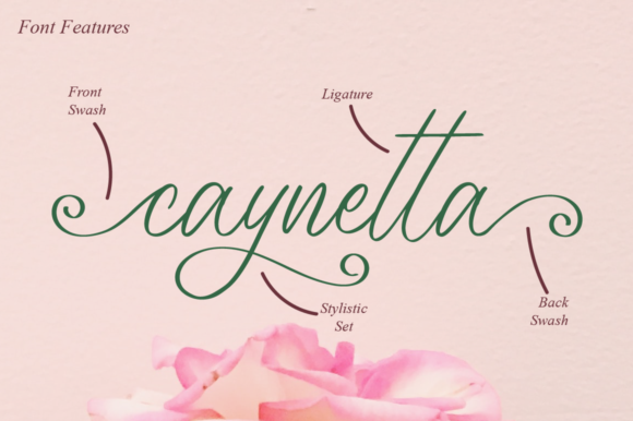 Merlynea Font Poster 9
