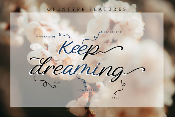 Meryline Font Poster 4