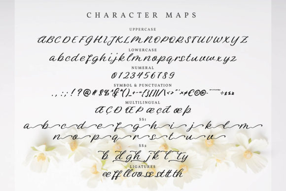 Meryline Font Poster 5