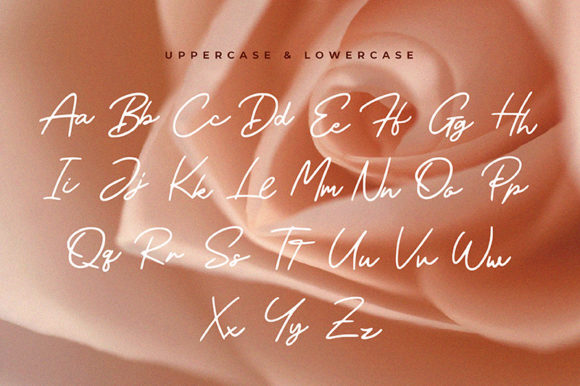 Meyried Font Poster 3