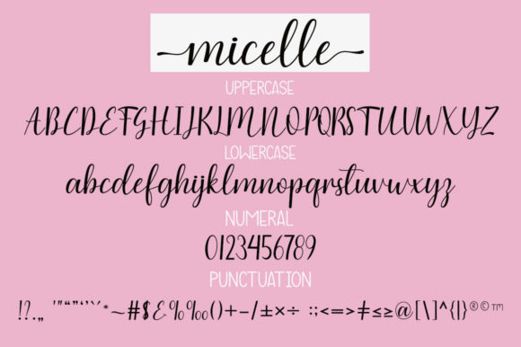 Micelle Font Poster 5