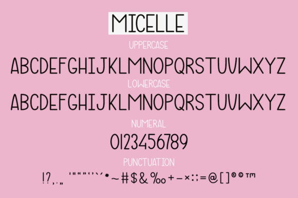 Micelle Font Poster 7