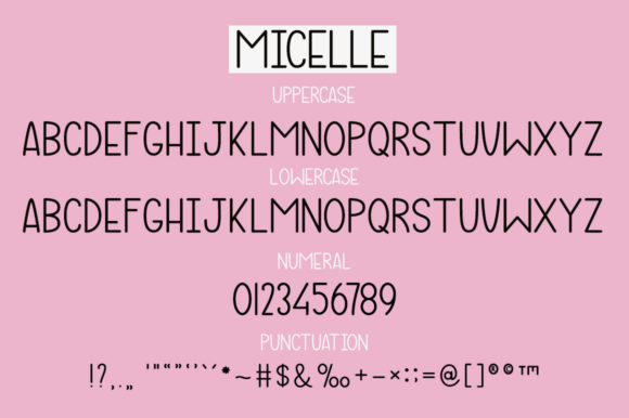 Micelle Font Poster 7