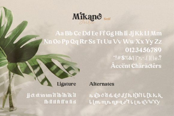 Mikane Jellie Font Poster 6