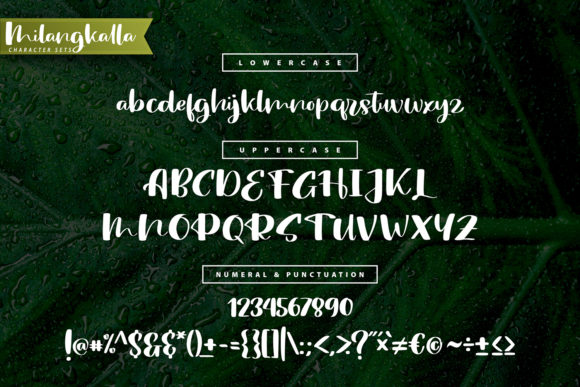 Milang Kalla Font Poster 5