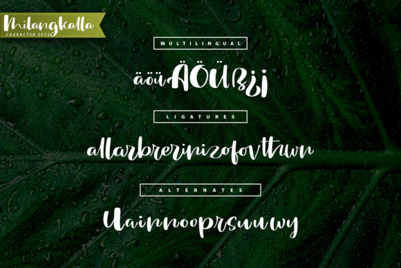 Milang Kalla Font Poster 6