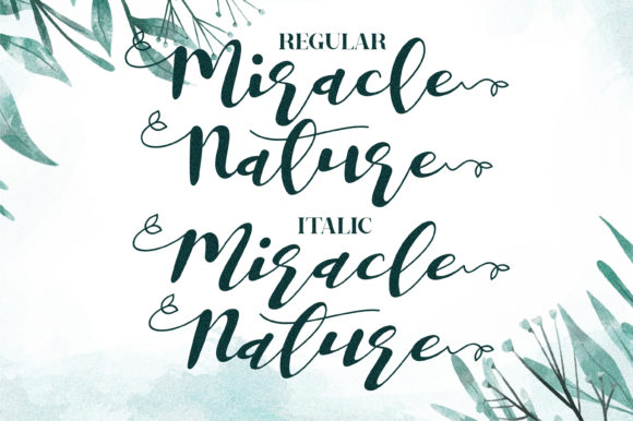 Miracle Nature Font Poster 15